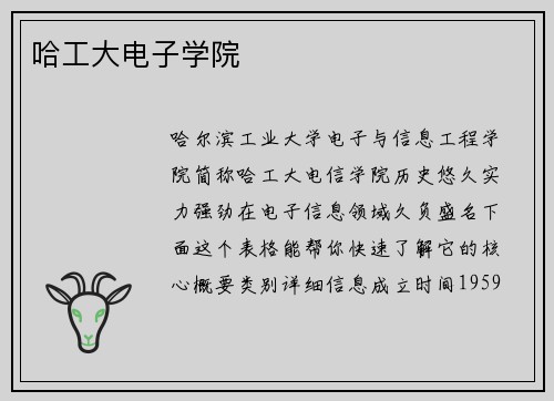 哈工大电子学院